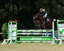 jumper Feine Deern I (Holsteiner, 2013, from Centurion)