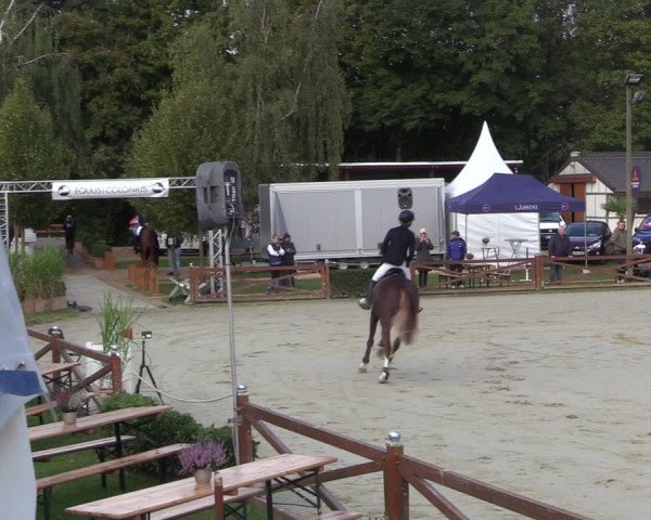 Equus Colonius - Reitanlage Brüse 2022