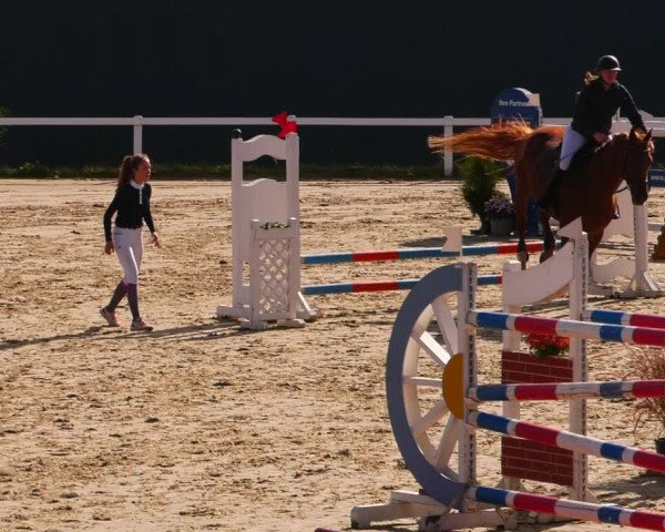 Reitturnier Bad Schmiedeberg 2022