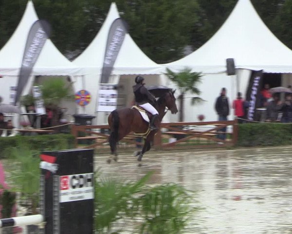 Equus Colonius - Reitanlage Brüse 2022