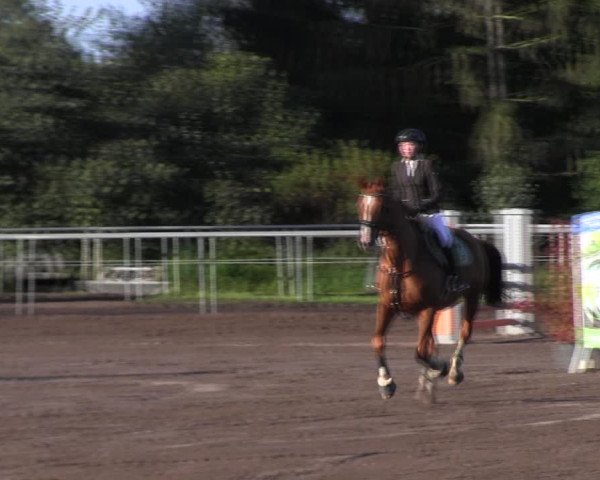 Reitturnier Lentzke - Reitanlage Krehl 2022