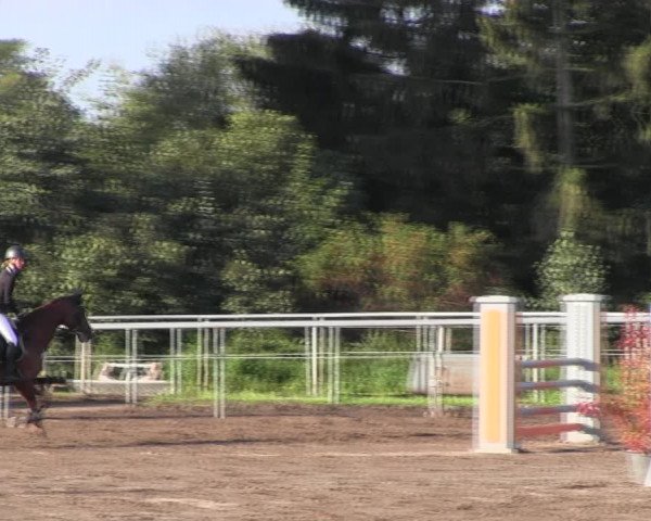 Reitturnier Lentzke - Reitanlage Krehl 2022