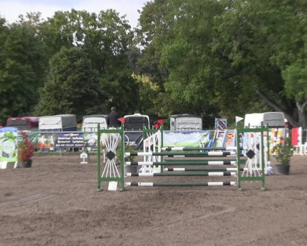Reitturnier Lentzke - Reitanlage Krehl 2022