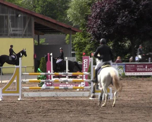 Reitturnier Lentzke - Reitanlage Krehl 2022