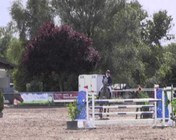 Reitturnier Lentzke - Reitanlage Krehl 2022