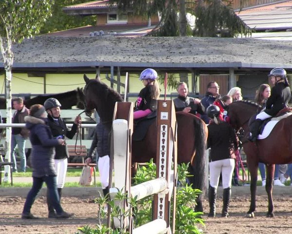 Reitturnier Lentzke - Reitanlage Krehl 2022