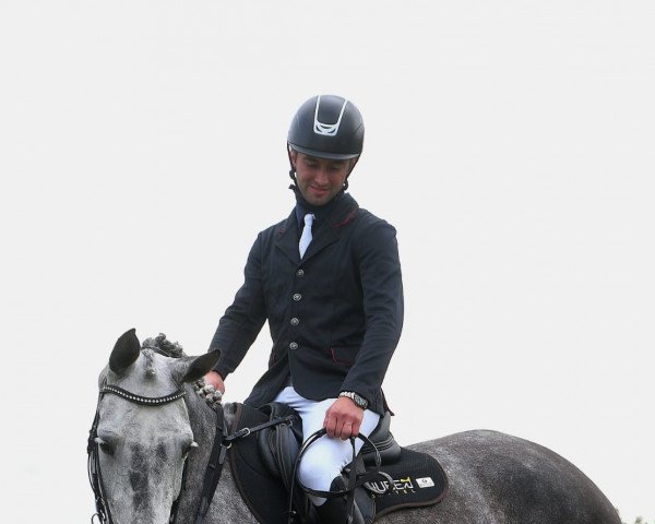 broodmare F-Black Pearl (Holsteiner, 2013, from Colman)