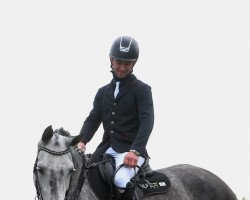 broodmare F-Black Pearl (Holsteiner, 2013, from Colman)