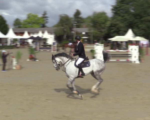 Equus Colonius - Reitanlage Brüse 2022