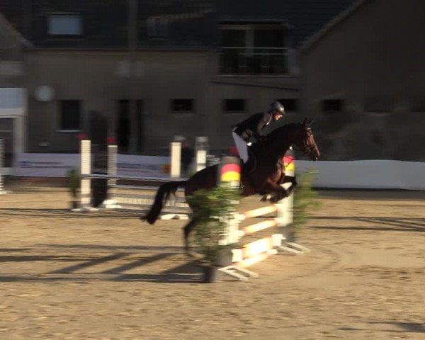 Reitturnier Buchenhof-Ibbenbüren 2022