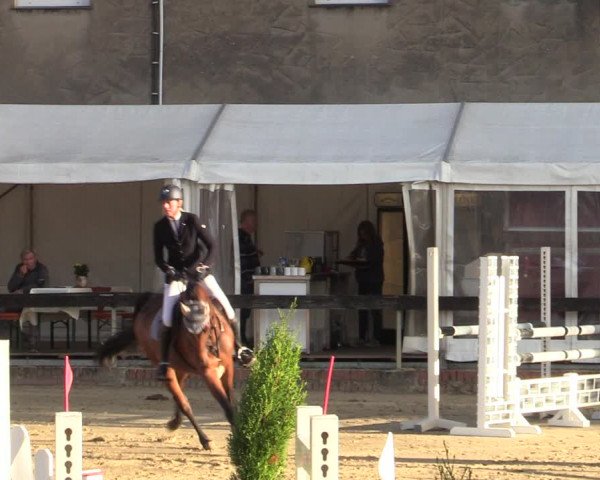 Reitturnier Buchenhof-Ibbenbüren 2022