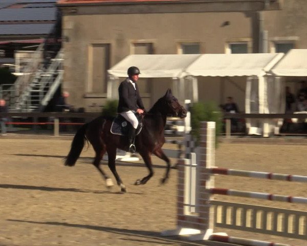 Reitturnier Buchenhof-Ibbenbüren 2022