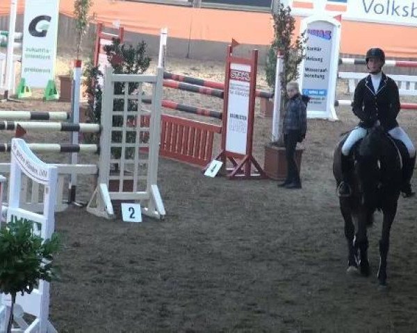 broodmare Annabell 422 (Hanoverian, 2004, from Abke 4)