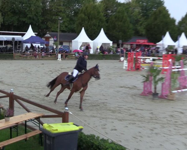 Equus Colonius - Reitanlage Brüse 2022