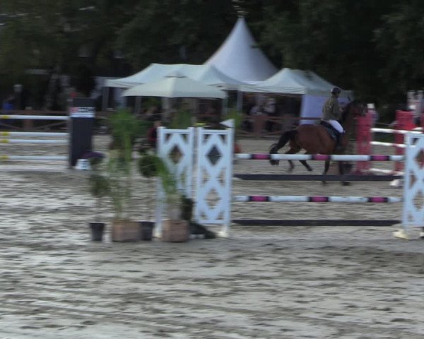 Equus Colonius - Reitanlage Brüse 2022