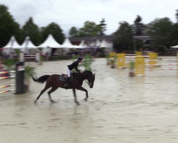 Equus Colonius - Reitanlage Brüse 2022