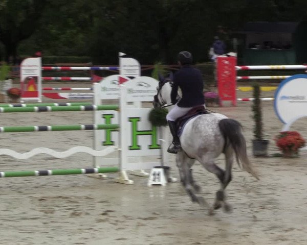 Equus Colonius - Reitanlage Brüse 2022