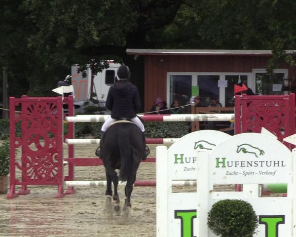 Equus Colonius - Reitanlage Brüse 2022