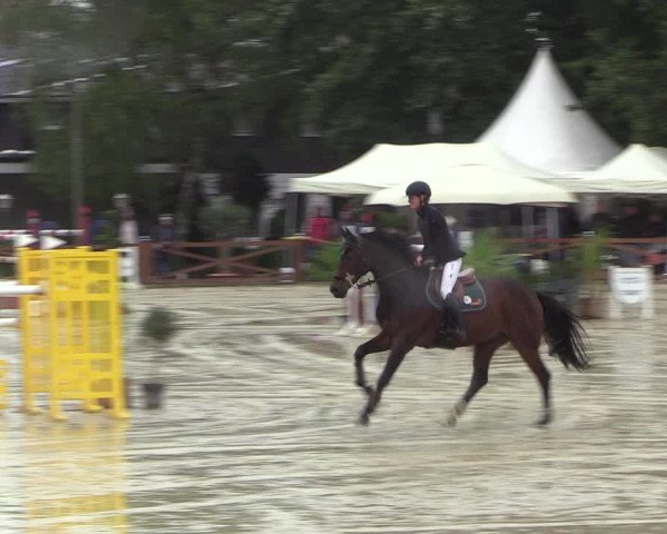 Equus Colonius - Reitanlage Brüse 2022