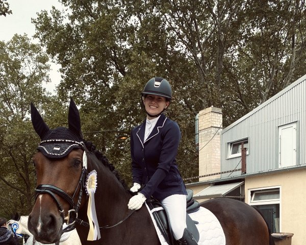 jumper Chevignon 18 (Hanoverian, 2014, from Comte)