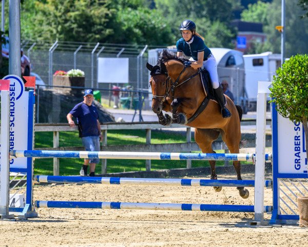 jumper Cayetana N CH (Swiss Warmblood, 2017, from Canturo)