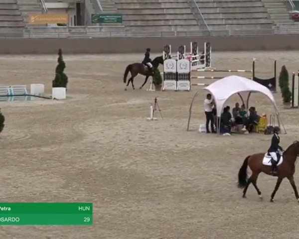 Video von Mirtosardo