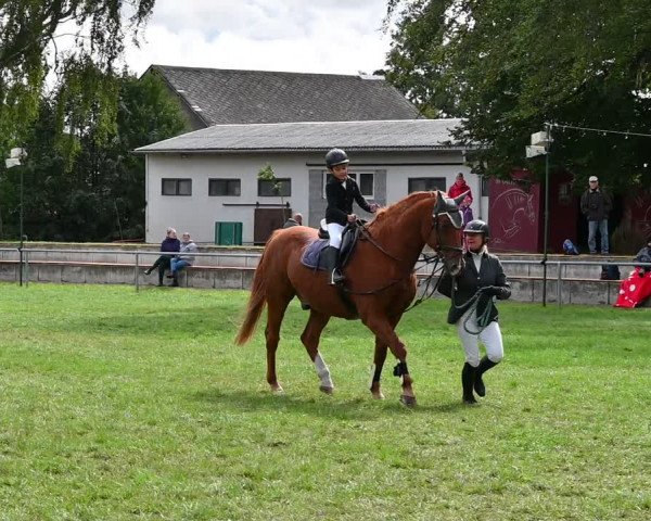 Reitturnier Altmittweida 2022