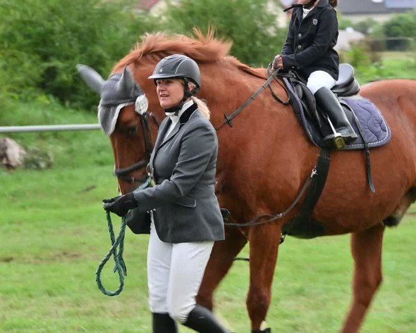 Reitturnier Altmittweida 2022