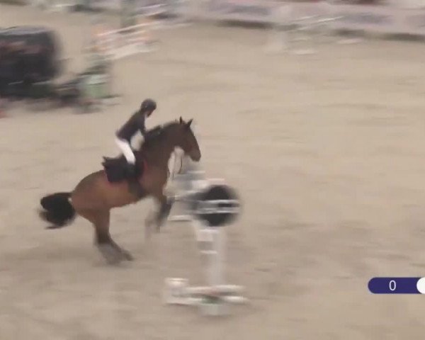 Video von Mirtosardo