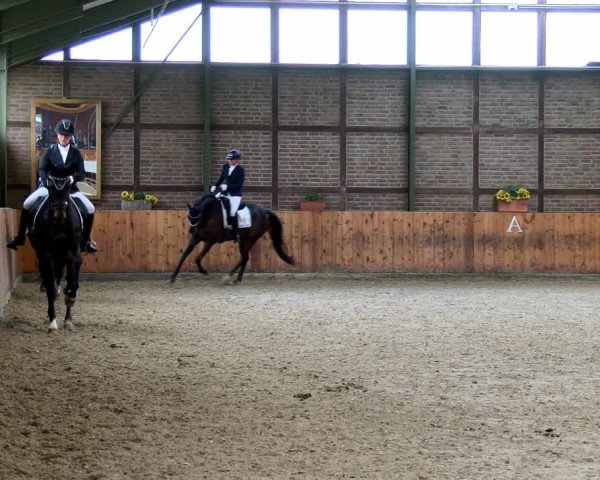 Reitturnier Würselen - Reitanlage Rueben 2022