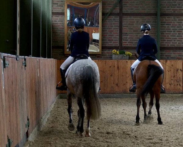 Reitturnier Würselen - Reitanlage Rueben 2022