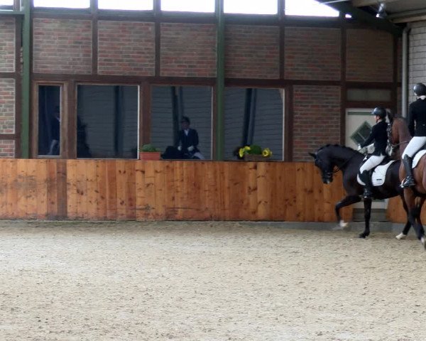 Reitturnier Würselen - Reitanlage Rueben 2022