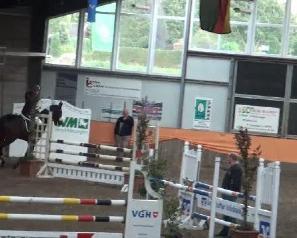 jumper Broeksterwoldw (KWPN (Royal Dutch Sporthorse), 2006, from VDL Empire)