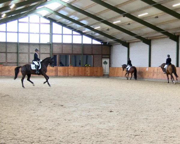 Reitturnier Würselen - Reitanlage Rueben 2022