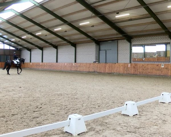 Reitturnier Würselen - Reitanlage Rueben 2022