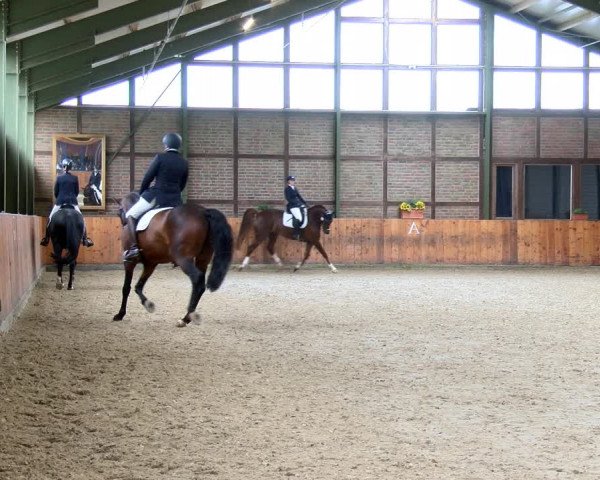 Reitturnier Würselen - Reitanlage Rueben 2022