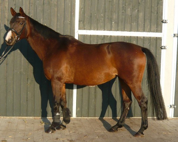broodmare Nupafeed's Minerva (Westphalian, 1994, from Mon Chèri)