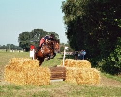Broodmare Fantastic Florine (Westphalian, 2000, from Florestan I)