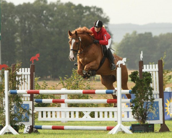 jumper Fidi Bo RH (Westphalian, 2004, from Florestan I)
