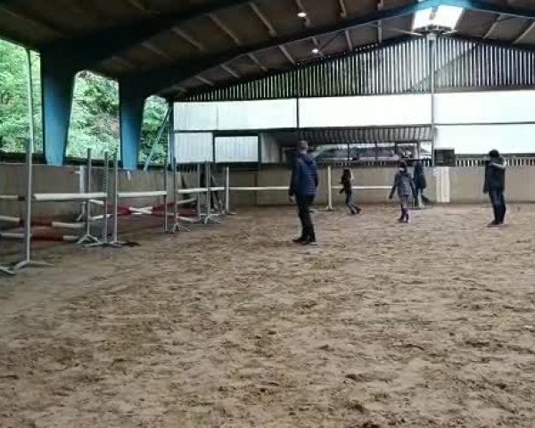 Video von Alvarino