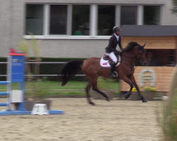 Reitturnier Langenfeld - Gut Langfort 2022