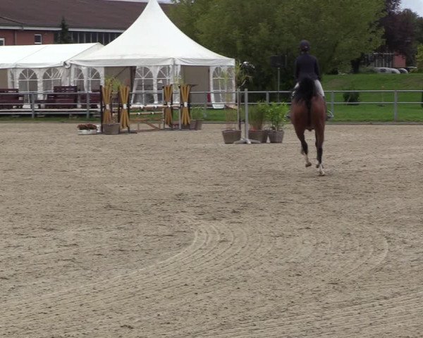 Reitturnier Langenfeld - Gut Langfort 2022