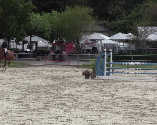 Reitturnier Langenfeld - Gut Langfort 2022