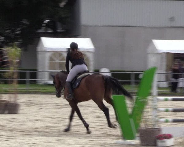 Reitturnier Langenfeld - Gut Langfort 2022