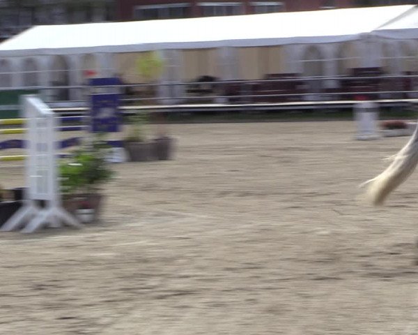 Reitturnier Langenfeld - Gut Langfort 2022