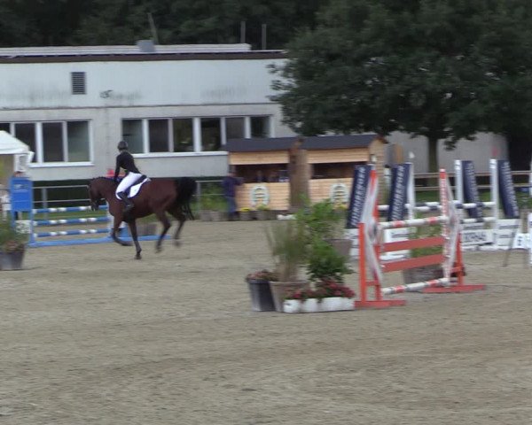 Reitturnier Langenfeld - Gut Langfort 2022
