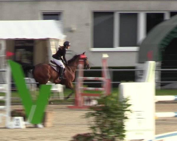 Reitturnier Langenfeld - Gut Langfort 2022