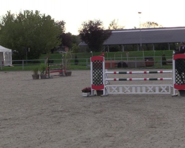 Reitturnier Langenfeld - Gut Langfort 2022