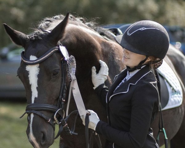 broodmare Levi (Czech Warmblood, 2013, from Dylano R)