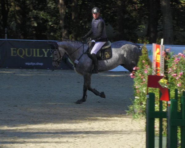 Reitturnier Karlsfeld/Obb. 2022